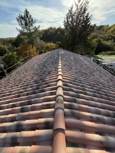 Réparation et rénovation de toiture aux arènes de Thenac, Saintes, S.A.R.L PIAUD Rénovation